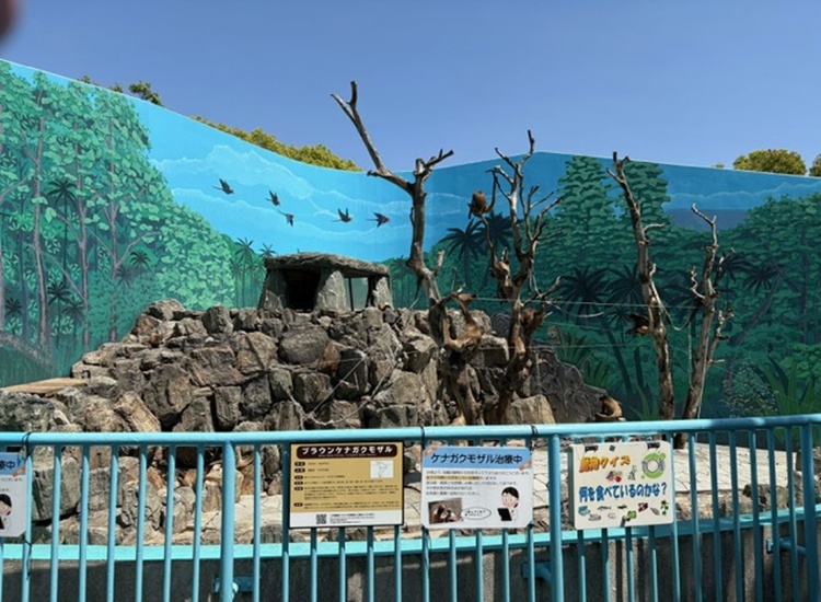 江戸川区自然動物園さる山