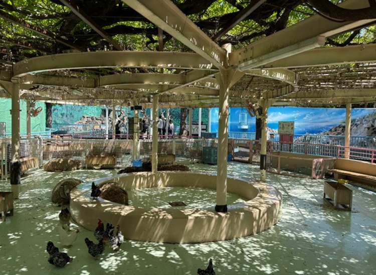 江戸川区自然動物園ふれあい広場